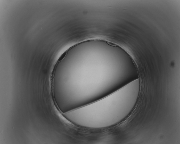 X0000089941151200707061055