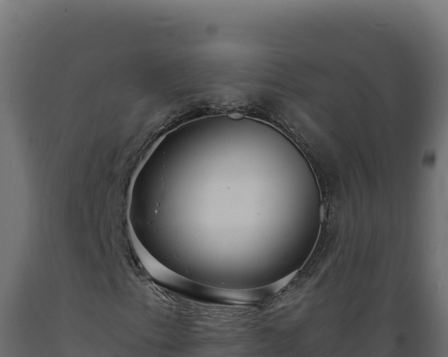 X0000089941153200707061054