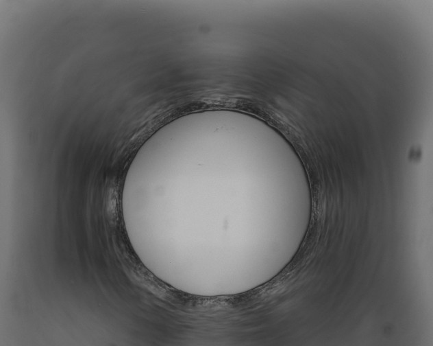 X0000089941154200707061054