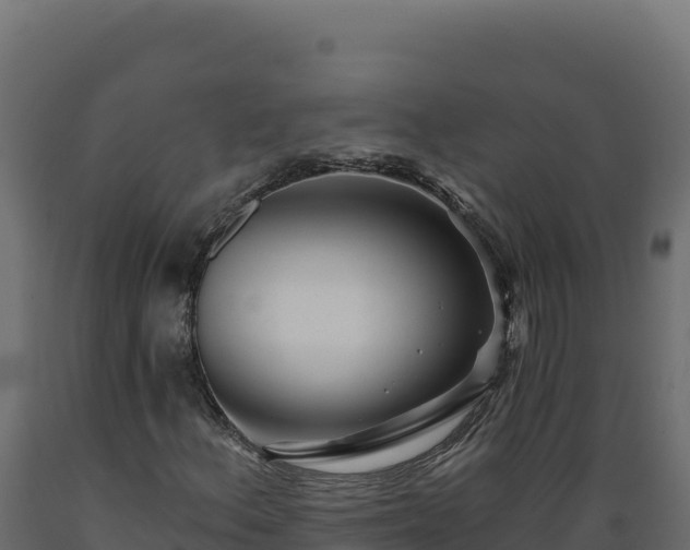 X0000089941156200707061054