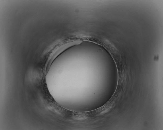 X0000089941157200707061054