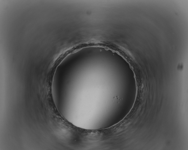 X0000089941160200707061054