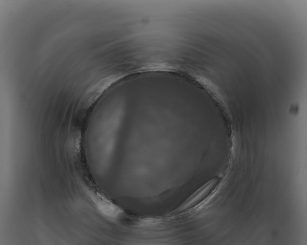 X0000089941161200707061054