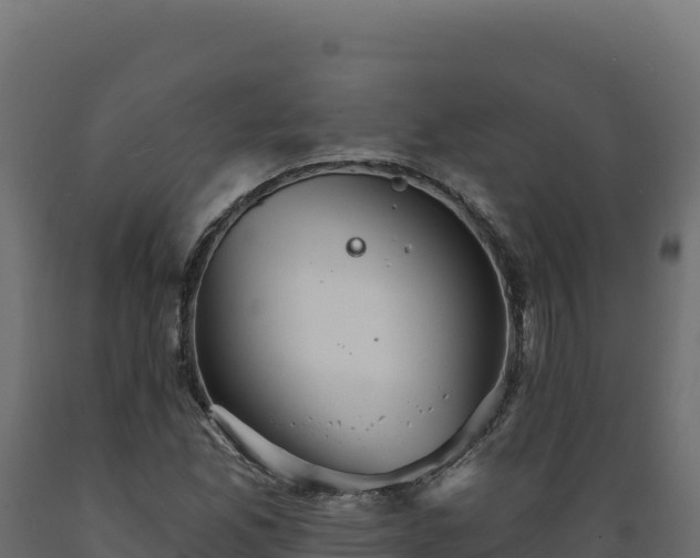 X0000089941165200707061054