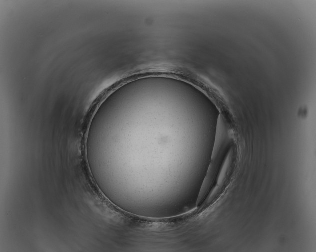 X0000089941166200707061054