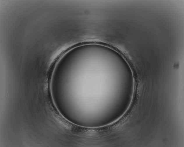 X0000089941167200707061054