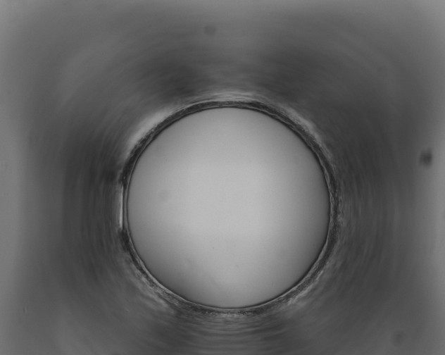 X0000089941171200707061054