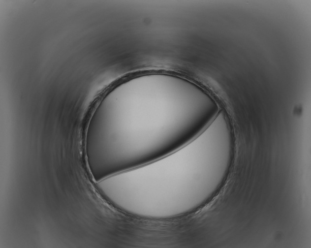 X0000089941172200707061054