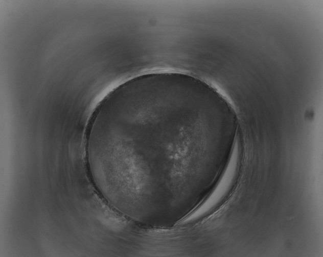 X0000089941173200707061054