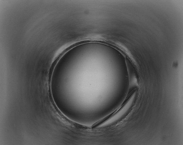 X0000089941176200707061054