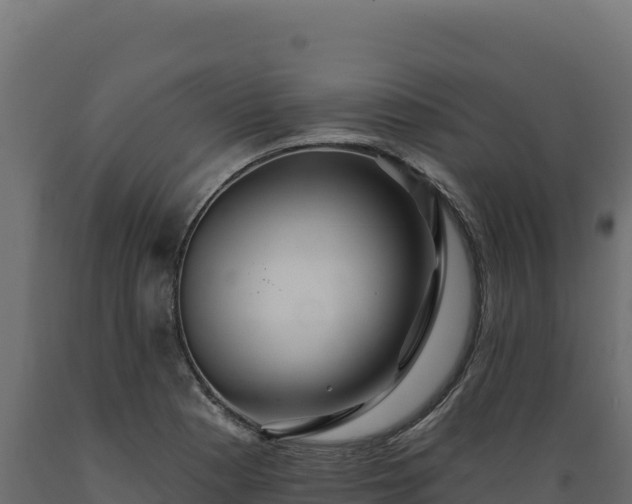 X0000089941177200707061054