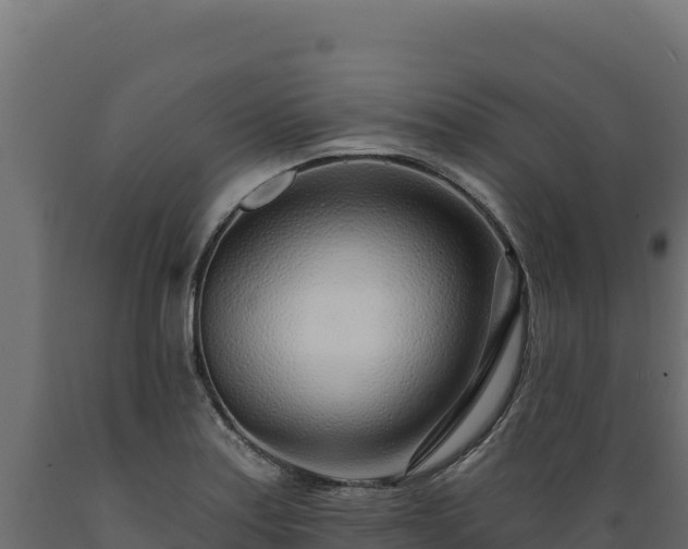 X0000089941179200707061054