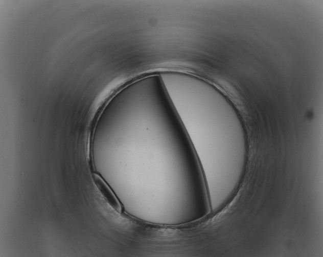 X0000089941180200707061054