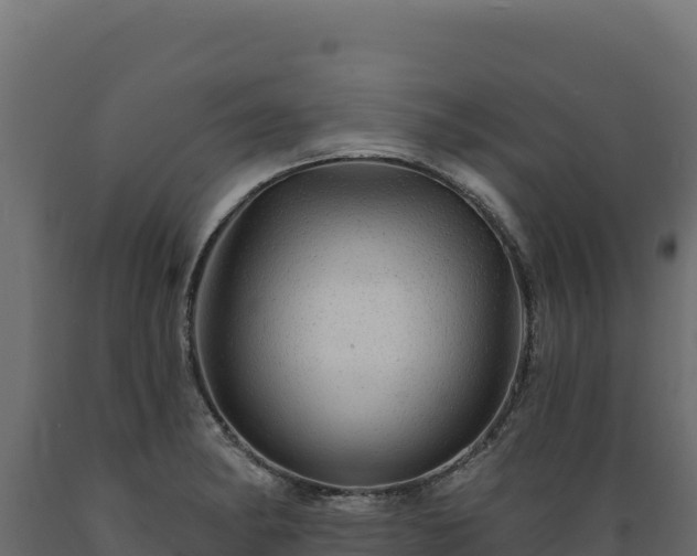 X0000089941182200707061054