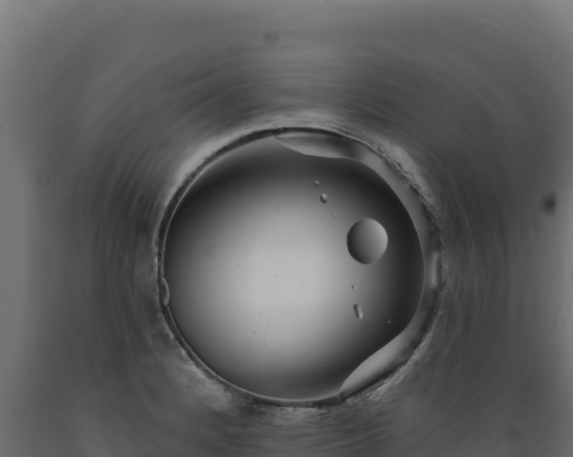 X0000089941184200707061054