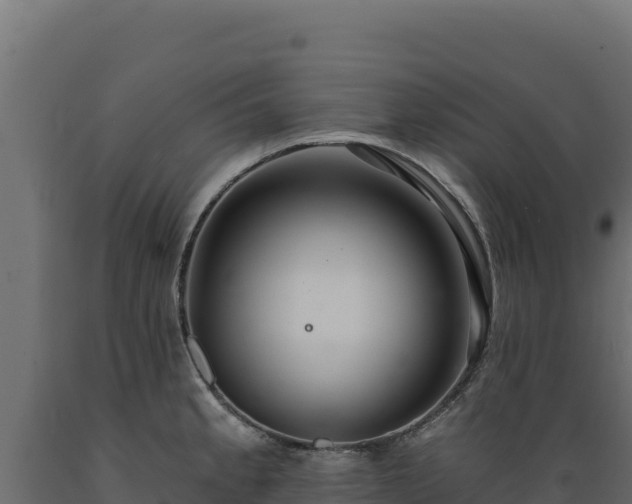 X0000089941189200707061054