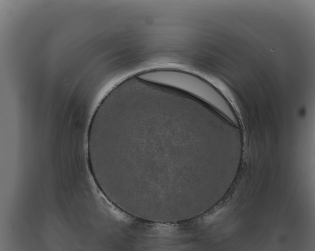 X0000089941191200707061054