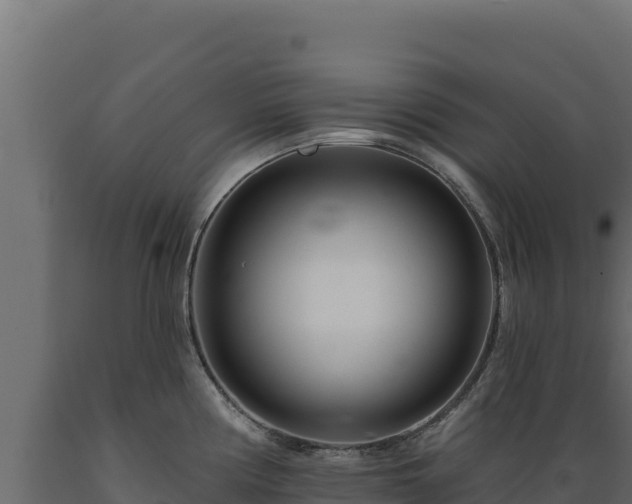 X0000089941194200707061054