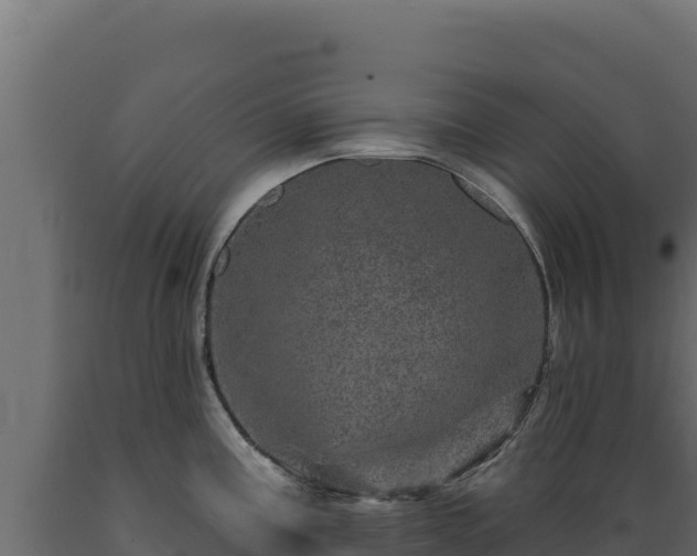 X0000089941195200707061054