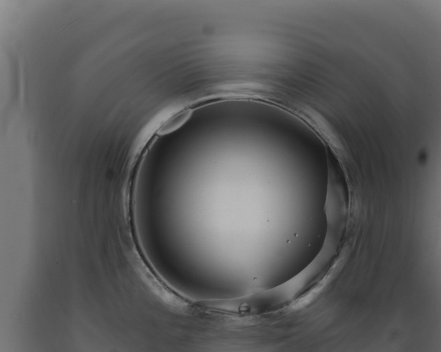 X0000089941196200707061054