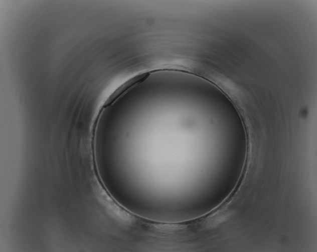 X0000089941200200707061054