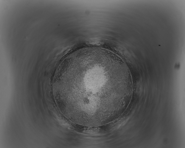 X0000089941201200707061053