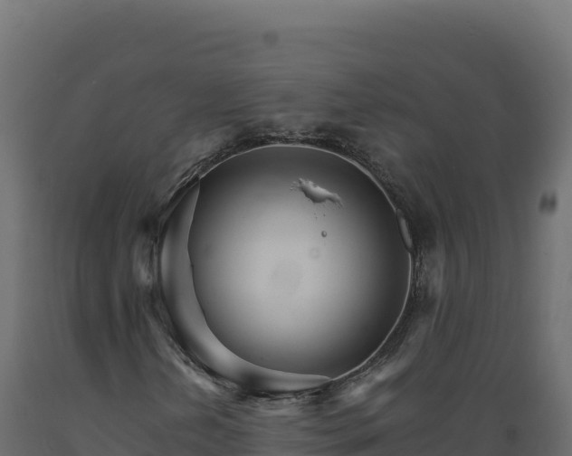 X0000089941202200707061053