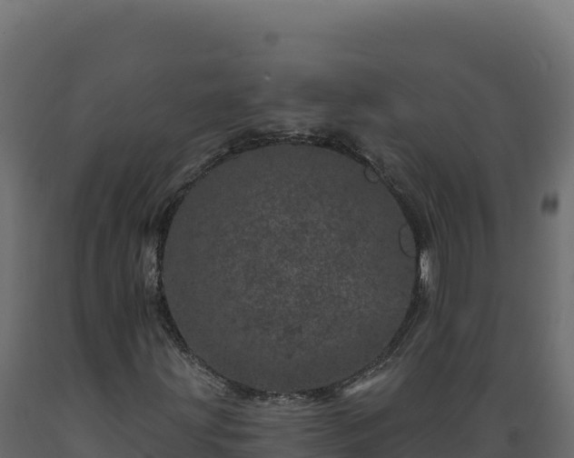 X0000089941203200707061053
