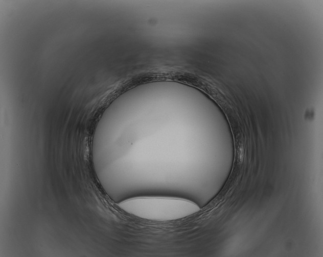 X0000089941204200707061053