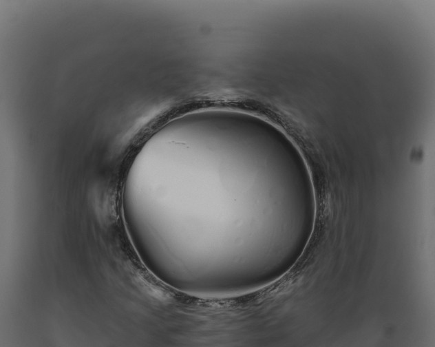 X0000089941205200707061053