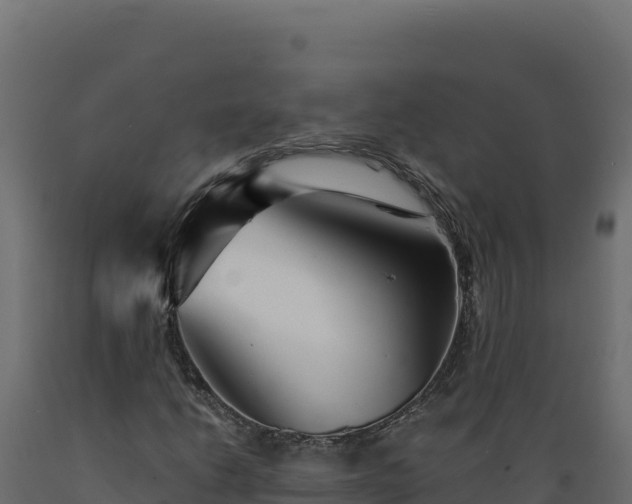 X0000089941206200707061053