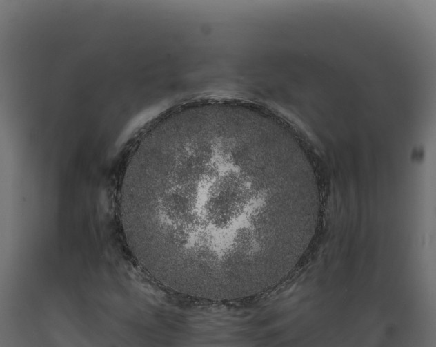 X0000089941207200707061053