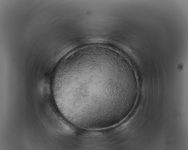 X0000089941209200707061053