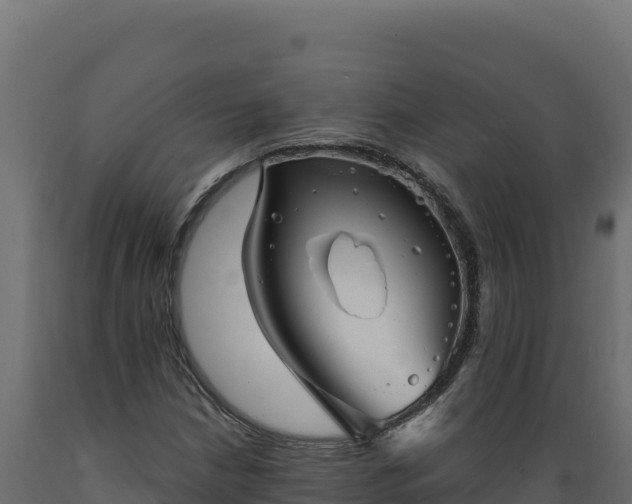 X0000089941210200707061053