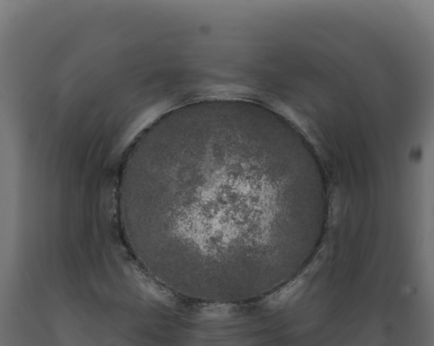 X0000089941211200707061053