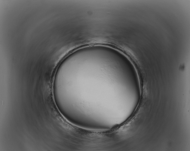 X0000089941212200707061053