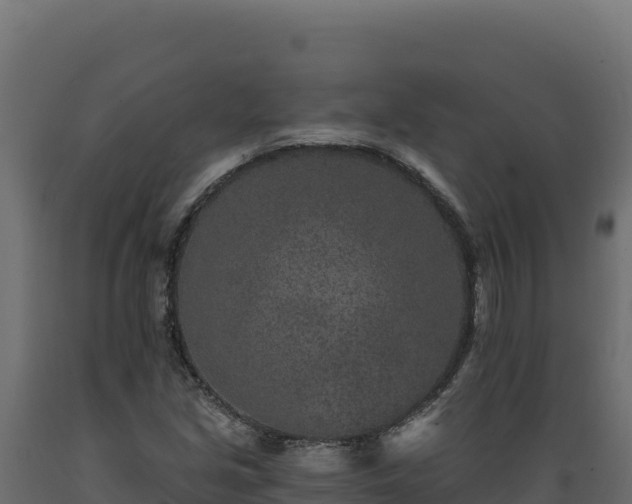 X0000089941213200707061053
