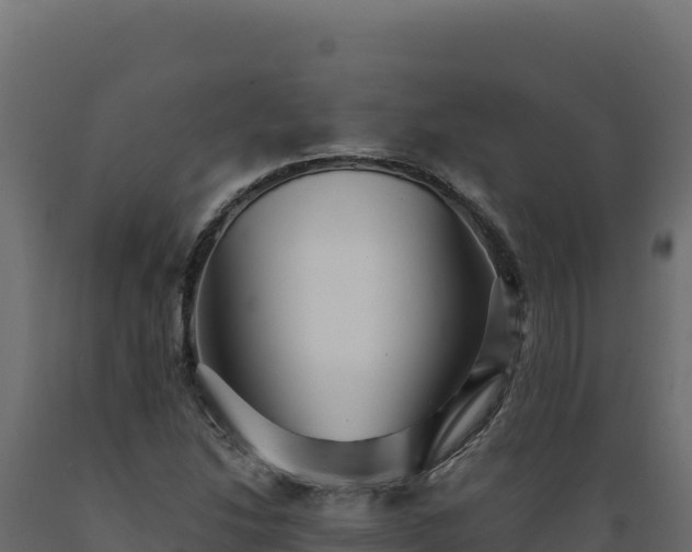 X0000089941214200707061053
