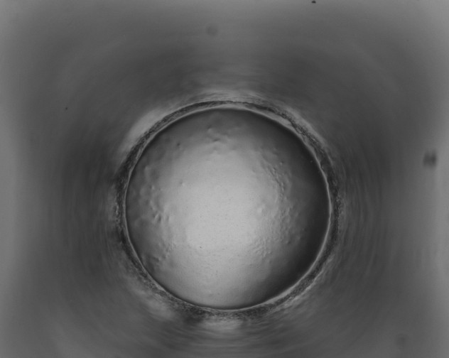 X0000089941215200707061053