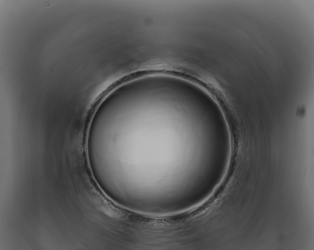 X0000089941216200707061053