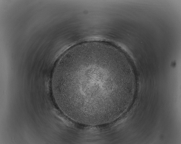 X0000089941217200707061053