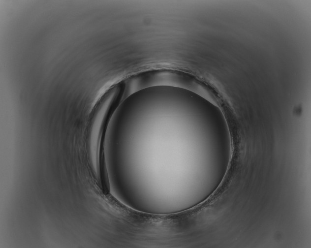 X0000089941218200707061053
