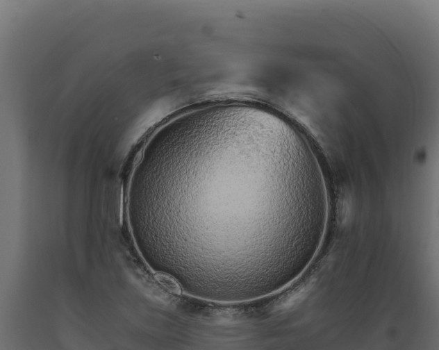 X0000089941219200707061053