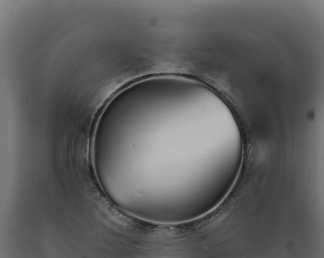 X0000089941220200707061053
