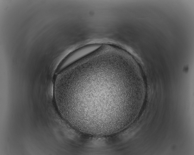 X0000089941221200707061053