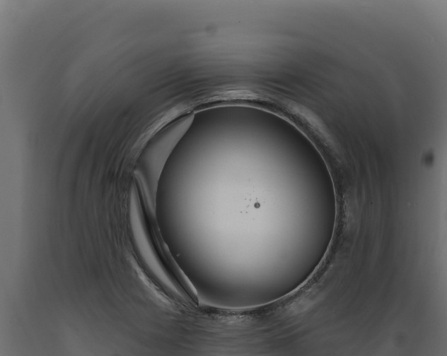 X0000089941225200707061053
