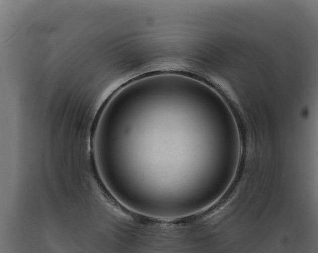 X0000089941226200707061053