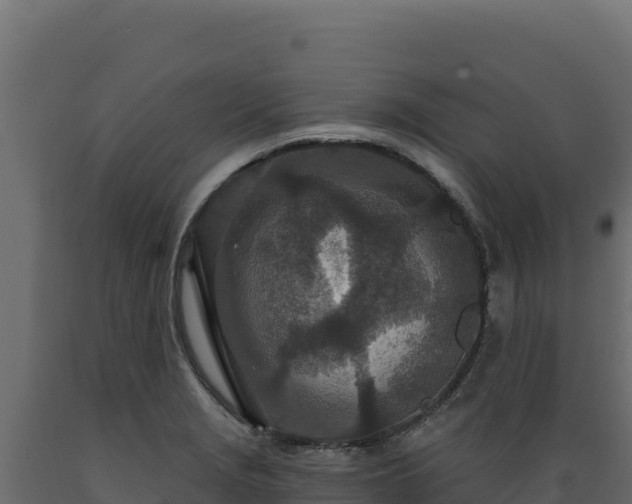 X0000089941229200707061053