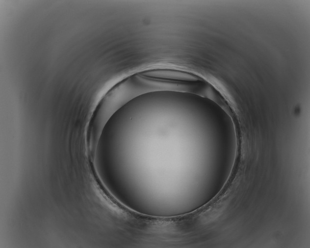 X0000089941238200707061054