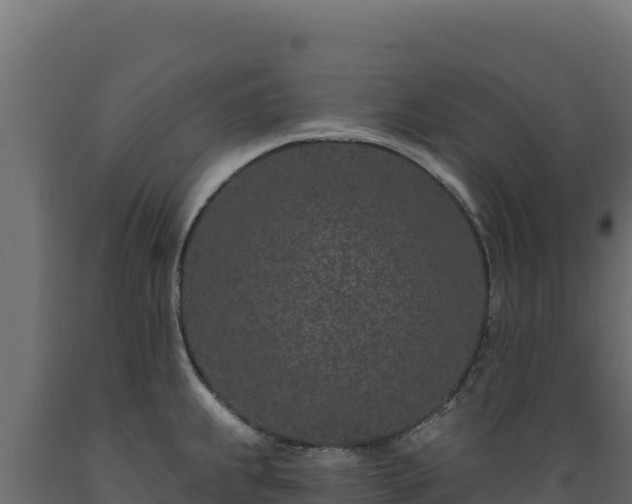 X0000089941239200707061054